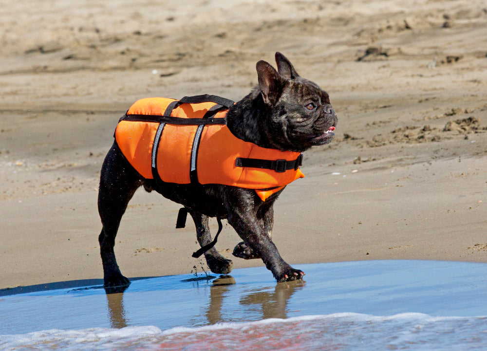 Life Jackets