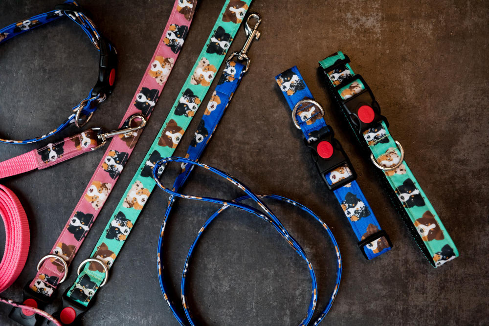 Walking Sets / Collar & Leash Sets