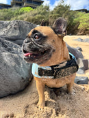 Sea Foam Dog Life Jacket | Breathable & Buoyant | Dog Flotation Device