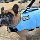 Sea Foam Dog Life Jacket | Breathable & Buoyant | Dog Flotation Device