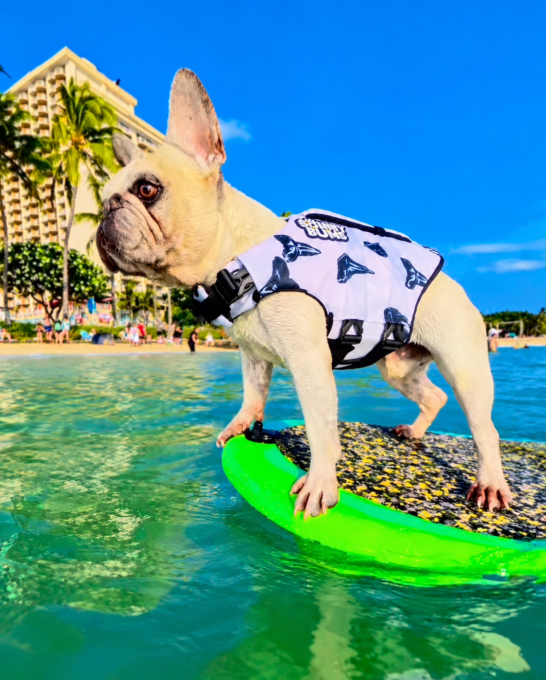 Shark Tooth Dog Life Jacket | Lightweight & Secure Fit | Dog Swim Vest