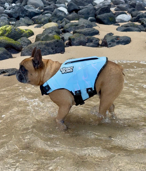 Sea Foam Dog Life Jacket | Breathable & Buoyant | Dog Flotation Device
