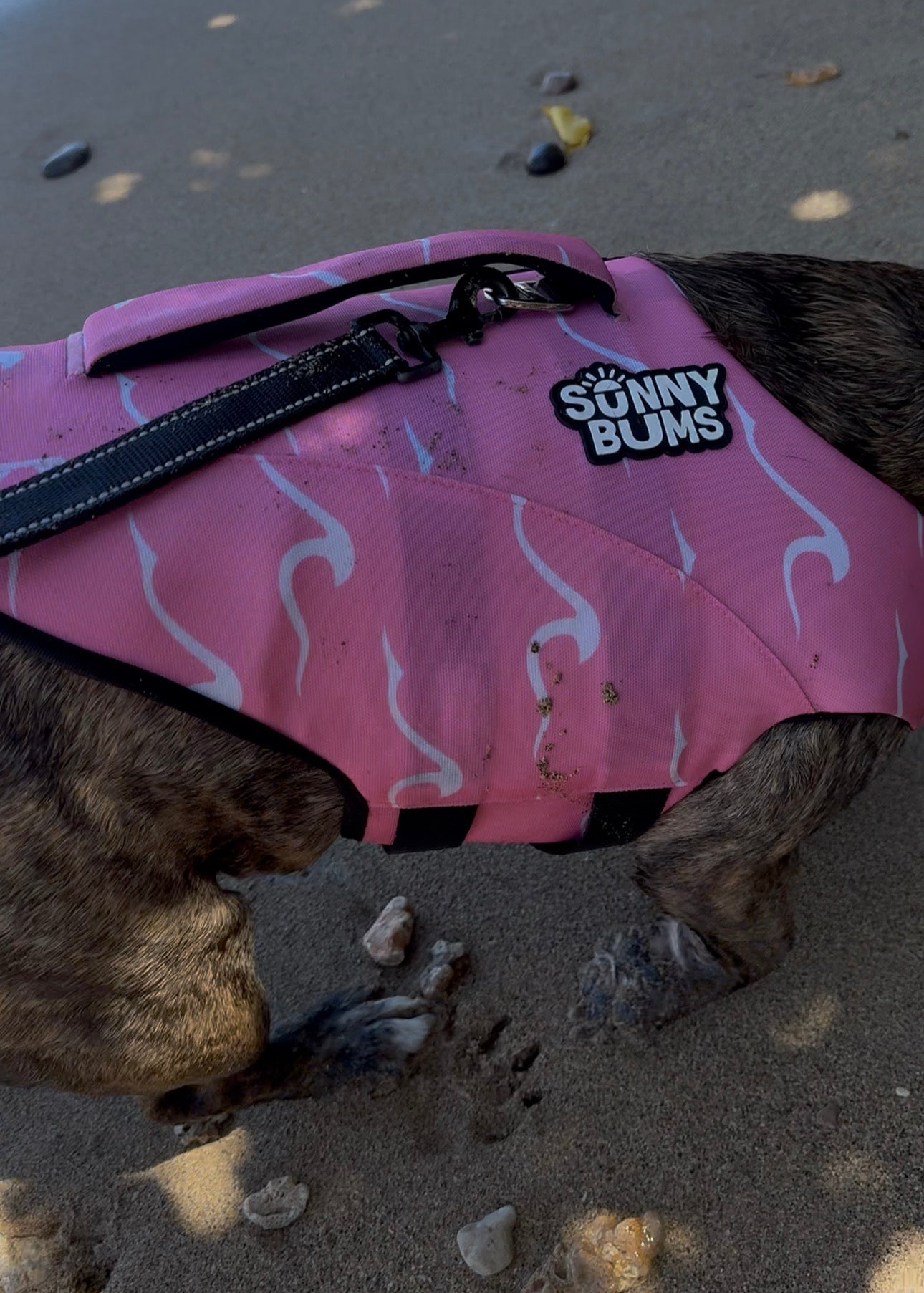 Pink Tide Dog Life Jacket | Quick-Dry & Adjustable | Dog Life Vest