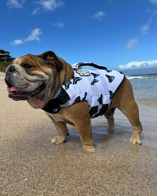 Shark Tooth Dog Life Jacket | Lightweight & Secure Fit | Dog Swim Vest