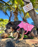 Pink Tide Dog Life Jacket | Quick-Dry & Adjustable | Dog Life Vest